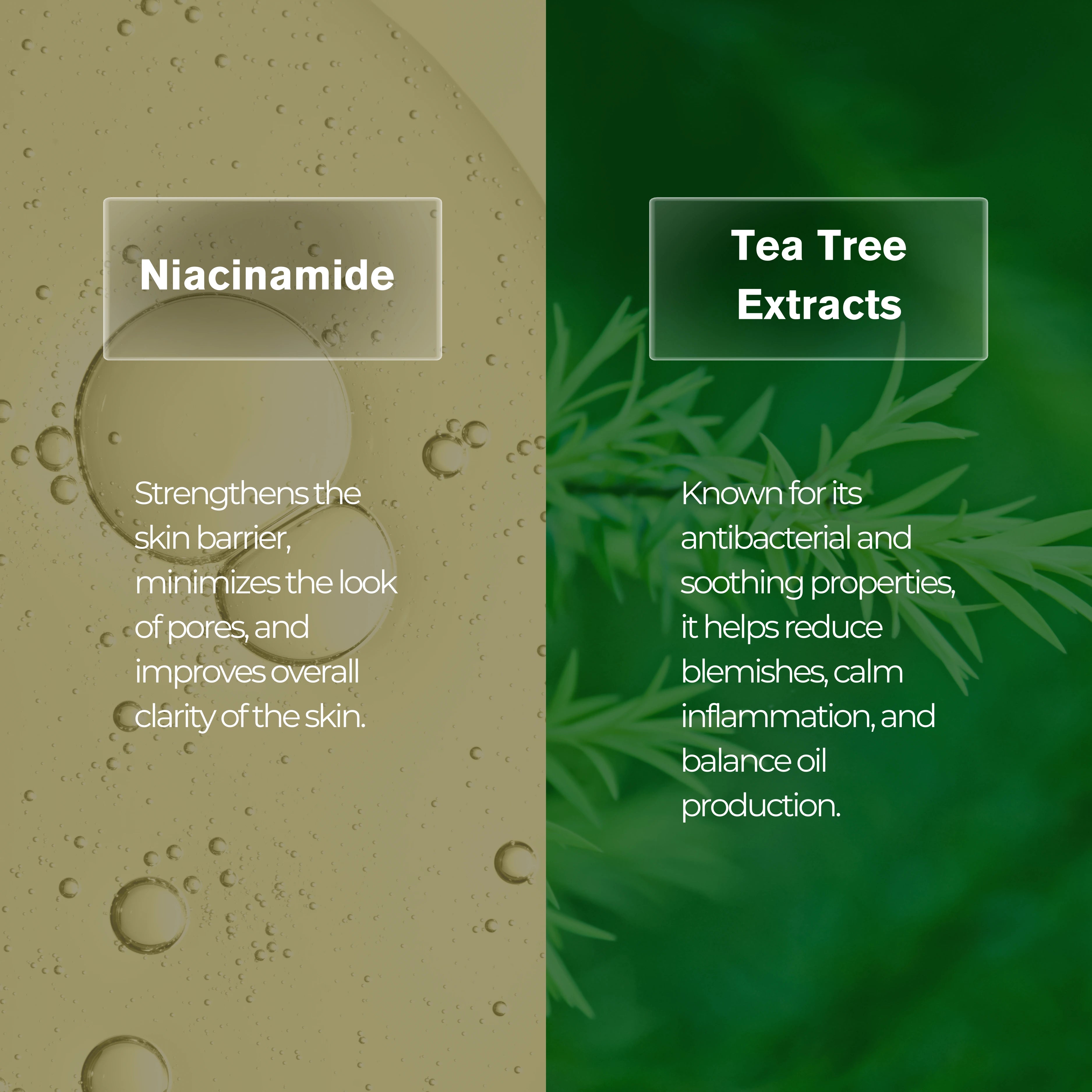 Facial Scrub AHA & Tea Tree Extract
