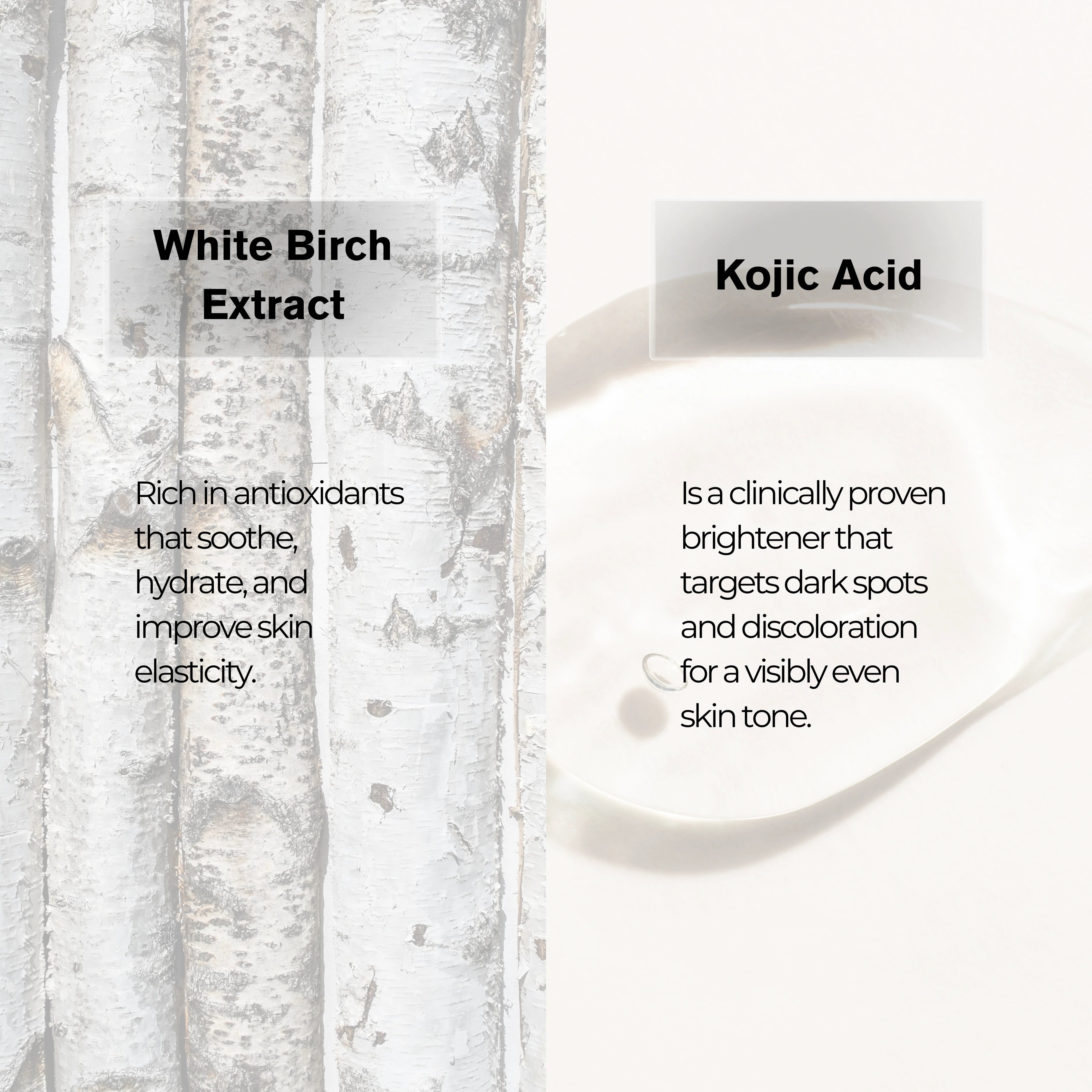 Illuminating Moisturizer White Birch & Kojic Acid